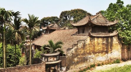 7. Họ Đoàn ở Phú Thị, Huyện Gia Lâm, Hà Nội