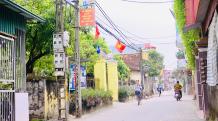 5. Họ Đoàn Thôn Quang Tự, Xã Đại Hùng, Huyện Ứng Hoà, Hà Nội