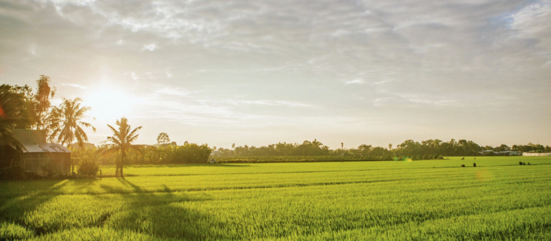 2. Họ Đoàn Hữu thôn Đồng Tiến (Làng Đồng Quang), Xã Phượng Dục, Huyện Phú Xuyên, Hà Nội