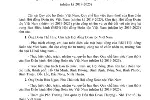 Nhiệm vụ trong lãnh đạo, điều hành Hội đồng Đoàn Tộc Việt Nam (Nhiệm kỳ 2019-2025)